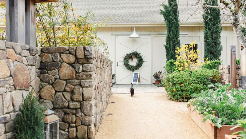 Farmhouse courtyard with stone wall to left, path in middle with black cat walking and greenery on right.